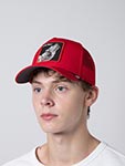 Бейсболка GOORIN BROTHERS арт. 101-2449 (красный)